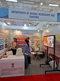 Government & PSU Prayagraj